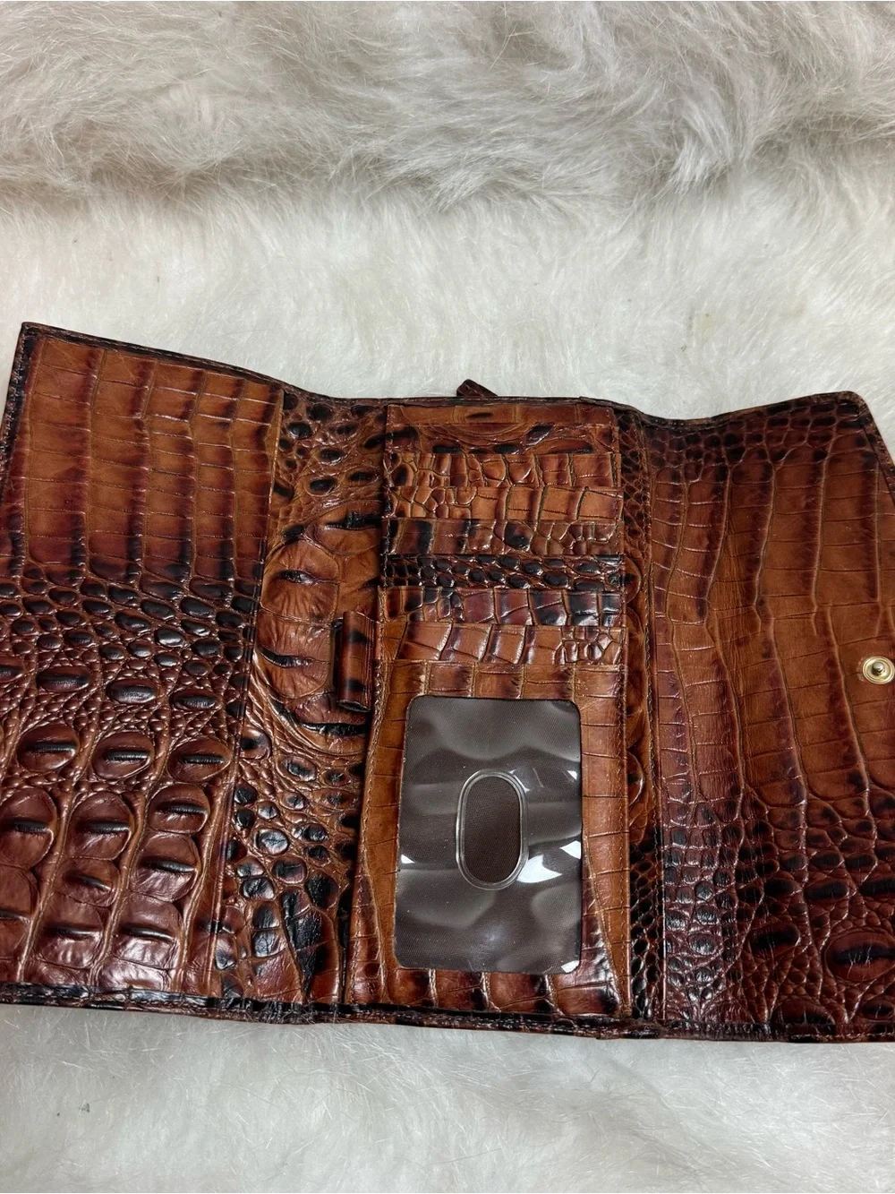 Brahmin caroline bag